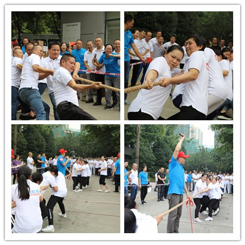 龙旺新闻5