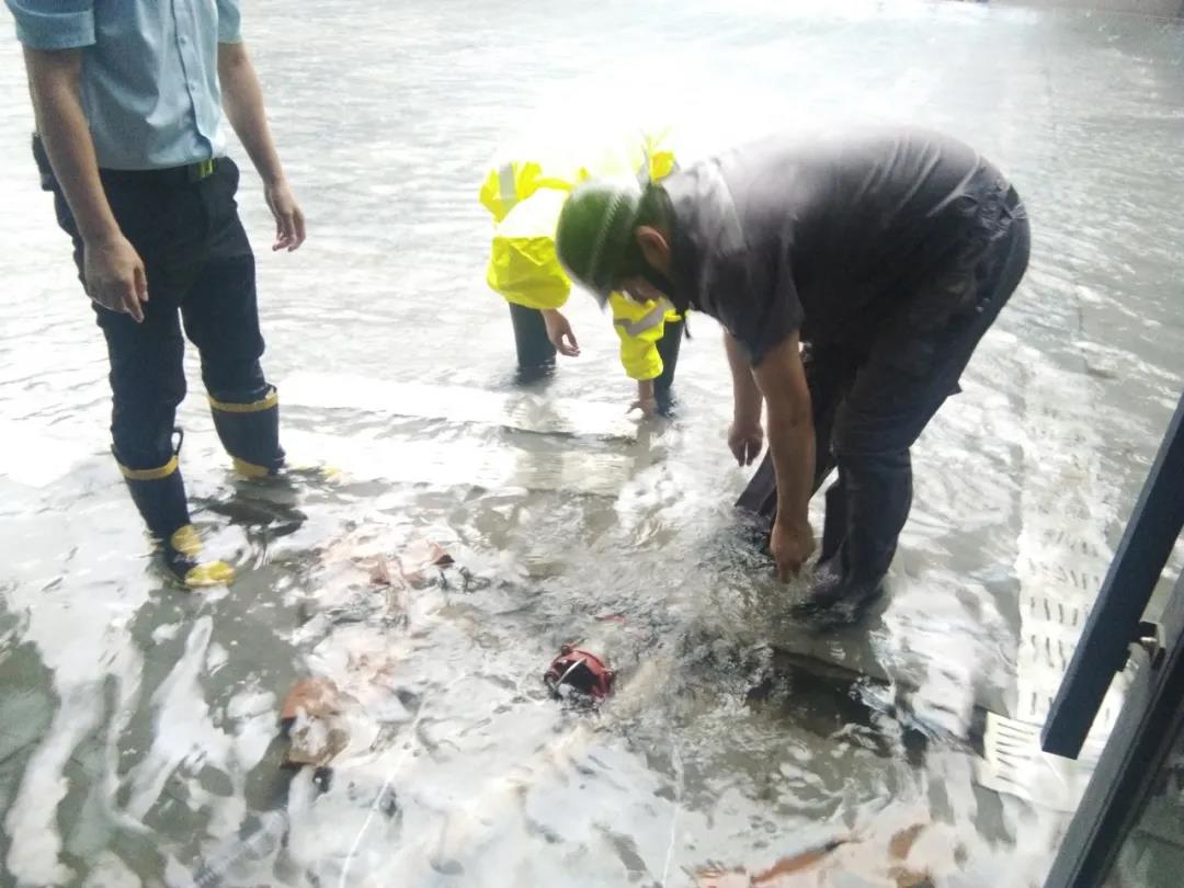 广东660个街镇遭遇暴雨 多地出现灾情_凤凰网视频_凤凰网